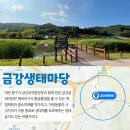 고산사 대웅전 | 더리스가 추천하는 근교 여행지 2탄!