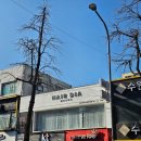 뽑아봐유 | 수원역 CS컬펌 잘하는 곳 헤어다이아 수원역타임점 수민 수석디자이너