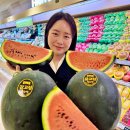 강고집 이미지