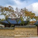 금촌전통시장 이미지