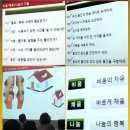 선농문화포럼 Daum카페