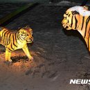 어화둥둥 - 전주시 완산구 | 어화둥둥