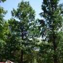 반디캠프 이미지