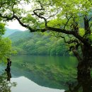 주왕산주유소 이미지