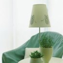 동덕여자대학교 비만미용향장대학원 이미지