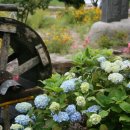 다도민박 이미지