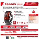 드래곤모터스 이미지