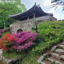 남한산성토종닭 이미지