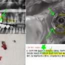 미사플러스치과 이미지