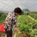 엄마방민박 이미지