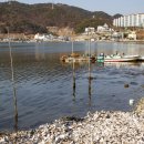 창원 안골포굴강 이미지