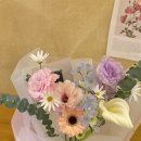 플레르퍼피 이미지