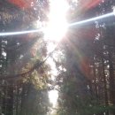 세인목장 이미지