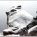 곰바위 이미지