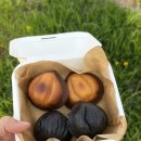 뚜레쥬르 울산삼산본점 | 울산 버터떡 맛집 갈바트 카페 본점 | 울산삼산카페 신상 디저트 후기