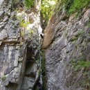 지곡리 등산로 이미지