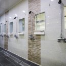 엠짐(M Gym) 이미지