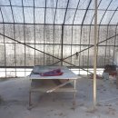 고골원주민공인중개사사무소 이미지