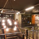 플란다스 개 이미지