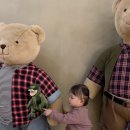 바니베어뮤지엄 이미지