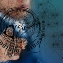 바이오생활 이미지