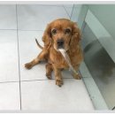 온빛동물병원 이미지