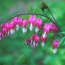 상봉보건진료소 이미지