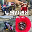 CU통영바다풍차점 | 통영 갯벌체험펜션 풍차마을 유울립펜션 장비무료대여 아이와갯벌