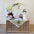 도담도담PET 이미지