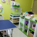 마루네 애견사랑 이미지