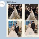 땡큐네이처 | [본식 아이폰스냅] <얼웨이즈스냅> 더베뉴지 네이처홀 본식 후기