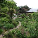 꿈꾸는 뜨락 2호 이미지