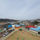 시미1리 이미지