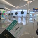 꼬순내상점카페푸우 | 급 다녀온 다카마쓰 여행 1박2일 1일차👶🍀 소도시 태교여행 리쓰린공원 아카짱혼포 호텔 추천