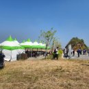 전북 김제 진봉 새만금 보리밭 축제 다녀온 후기 정말볼거없습니다 가지마세요