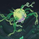 Tree of im 이미지