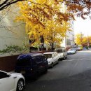 중동로49번길 이미지