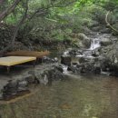 대운산계곡펜션 이미지