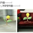 신전떡복이 - 광양시 불로로 141 | 신전떡복이