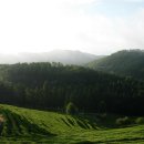 보성여인숙 이미지