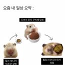 인더무드 이미지