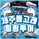 제주돌고래힐링투어