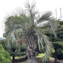 장수물공원 이미지