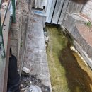 주택 옆 | [평창동 설비] 빗물에 휩쓸려 사라진 하수배관? 하천 옆 주택 배관 유실 및 신설 복구 작업 후기