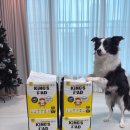 킹스 | 강아지 배변패드: 유목민 정착템, 흡수력 좋은 킹스패드 화이트 후기