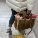 힐노래연습장2 이미지