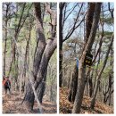 회남면사무소 이미지