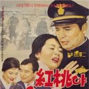 홍도야울지마라