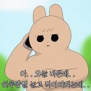 제주일상 이미지