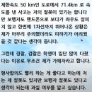 오늘자 한문철TV에 나온 무단횡단자와 과속운전자 ㄷㄷㄷㄷ 이미지